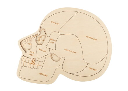 Anatómia hlavy -40% - drevené edukačné puzzle  v českom jazyku
